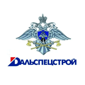 Клиент компании РИНФИН: Дальспецстрой